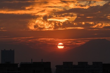 _DSC4460