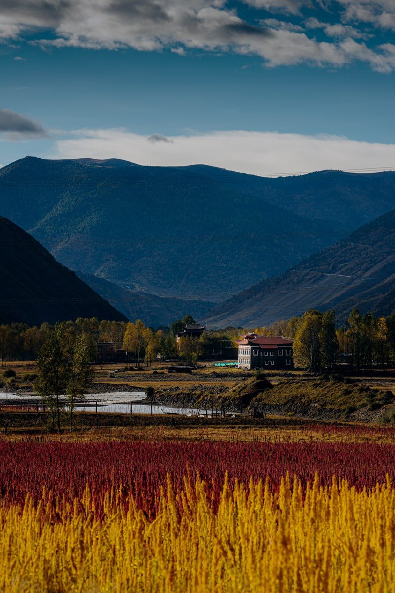 藏区秋意