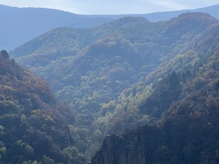 1AC0991C-8219-4F76-B9F3-F9DC18B035AE/L0/001