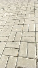 164501