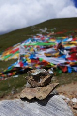 DSC02019.JPG