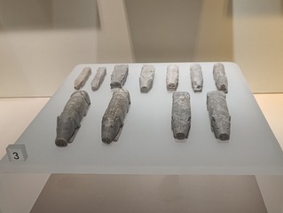 1000055107