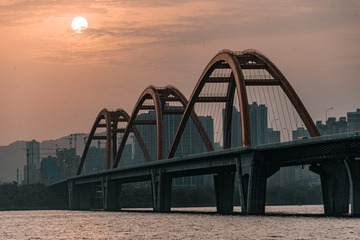 1000056011