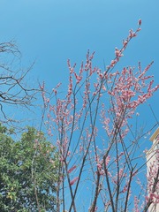 EE929680-A94A-4B0E-B7A4-1A8662EB1C70/L0/001