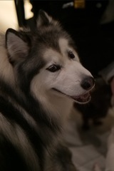938943