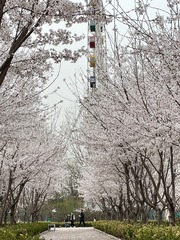 33EC63B9-BF0B-41BD-BCB5-EC3EBC0A42C4/L0/001