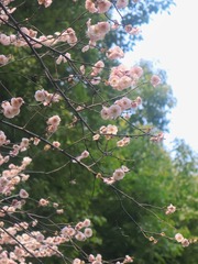 210BB028-D5AE-4E00-80B7-1718527506DB/L0/001