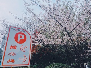 F2D49A8F-02F7-4B72-B5B1-158277FED406/L0/001