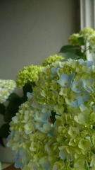 1D9BD828-4D9D-4B67-8643-09298982566C/L0/001