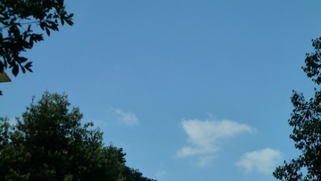 A3BB15AD-21FB-4631-8F3D-B82EB9CAE34A/L0/001