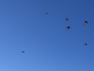 F0BE762C-7616-4247-9B8D-A8F01D89B3C9/L0/001