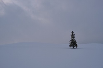 DSCF4729 1