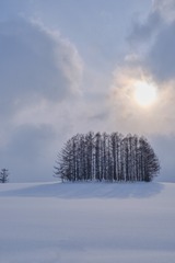 DSCF4752