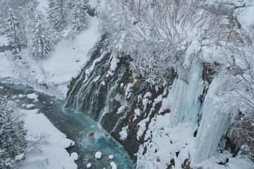DSCF4681