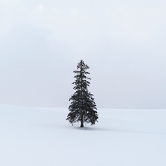 DSCF4721 3