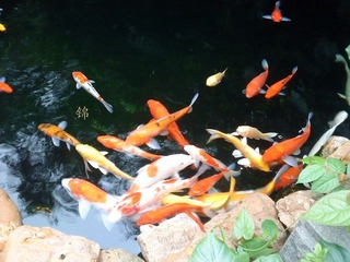 DSC00150_副本.jpg