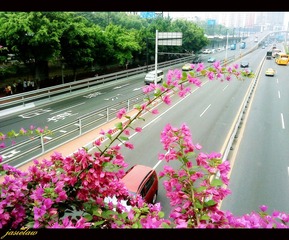 DSC03767_副本.jpg