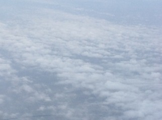 1D9B8563-083D-4F41-ABA7-B03C0477E776/L0/001