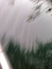 1000006394