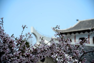 1824AB65-1479-4FA8-8099-CF50B97B5F1E/L0/001