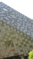 1000105607