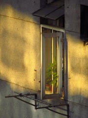 IMG_4877.JPG