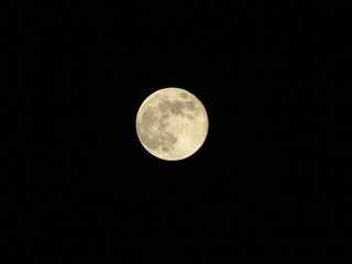IMG_4963.JPG