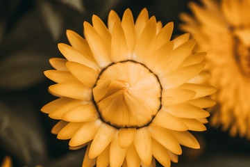 1000047082