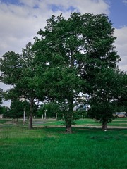 816966A3-AFAE-4C74-BF9E-AFFB6A7D7DAE/L0/001