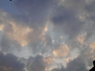 1165123