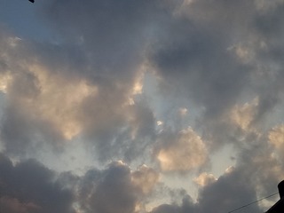 1165123