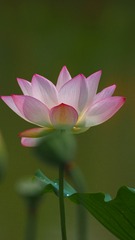 F7F3D6DE-F5E2-4A05-8346-EB50D306C4B0/L0/001