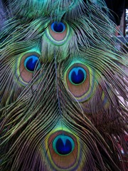 01CD0880-A260-43E3-B1BB-14BDB92B9705/L0/001