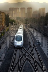 76401