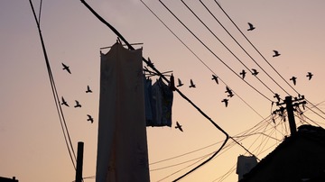 F5C7D453-979F-439C-9DD6-918B726F32A1/L0/001