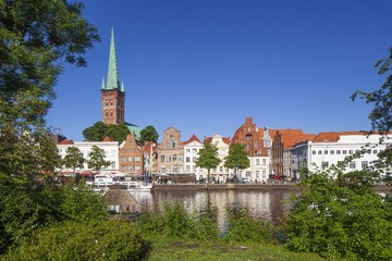 76036