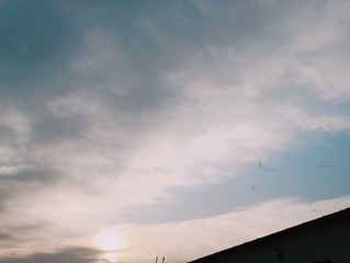 1000024016