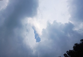 1000024022