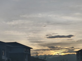 1000010220