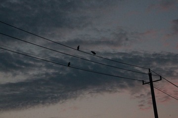 2070545