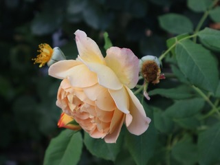 A846743F-8EEB-40C1-879A-EA91BDA5826F/L0/001