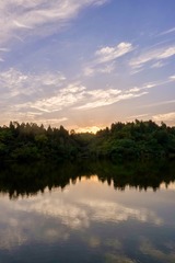 C70F18F9-49C1-4721-8CE3-1F7D063DFBC5/L0/001