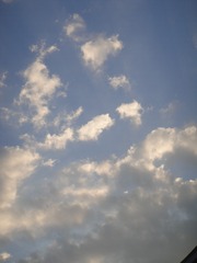 D00173C2-0A96-4D6F-8CB3-71F0445D1E30/L0/001