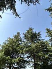 A4437CAD-BE4C-4958-85AA-821105C0E9F5/L0/001