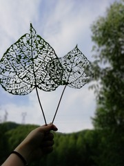 4206