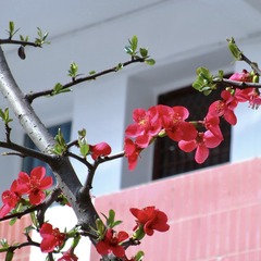 73219F8F-4C73-4E7B-9073-1CF6C17F32E9/L0/001