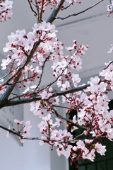 1807F163-2A27-49E2-A3AC-E0787FC7B07D/L0/001