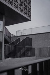 376221