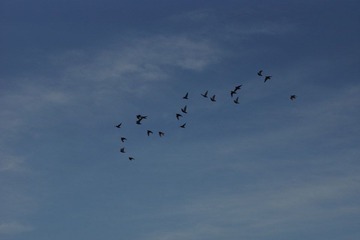 DSC01105.JPG