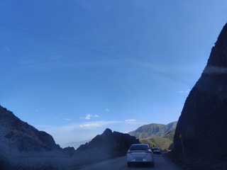1000015551